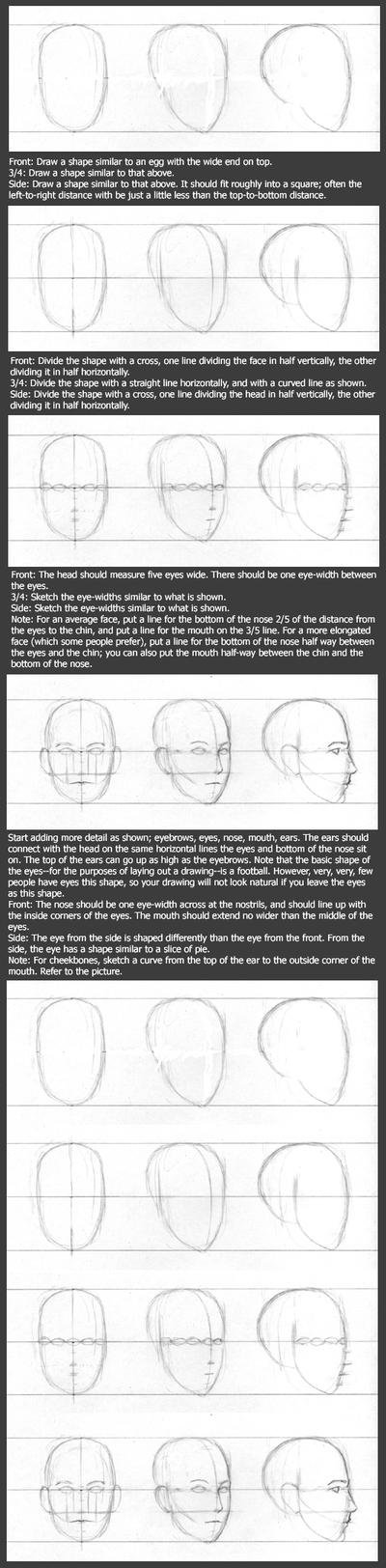 Basic Head Tutorial: Layout by timflanagan on DeviantArt