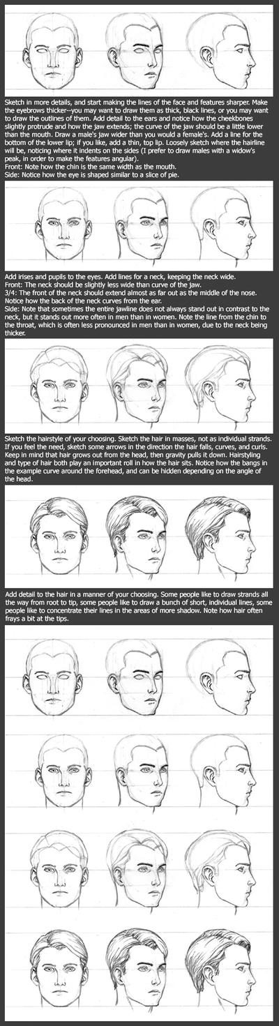 Basic Head Tutorial: Male by timflanagan on DeviantArt