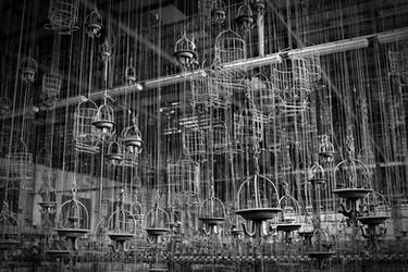 chains and cages by schnotte