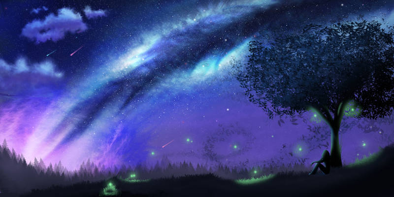 Under the Night Sky