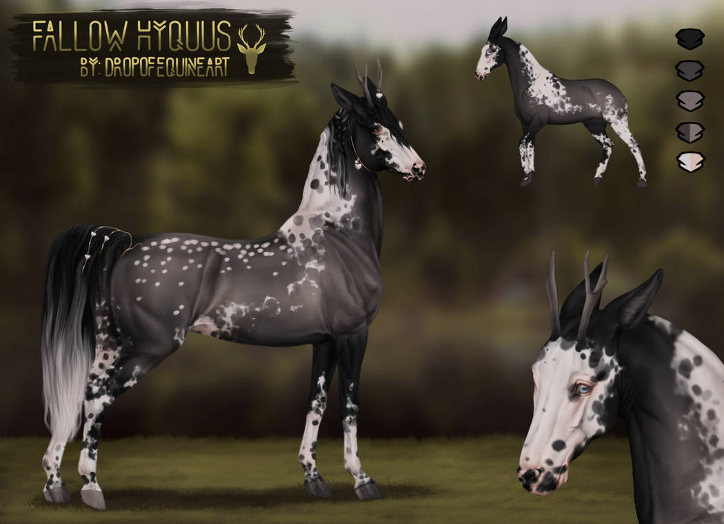Deviantart Fallow Fallow Hyqqus Adopt 18 closed by dropofequineart on DeviantArt