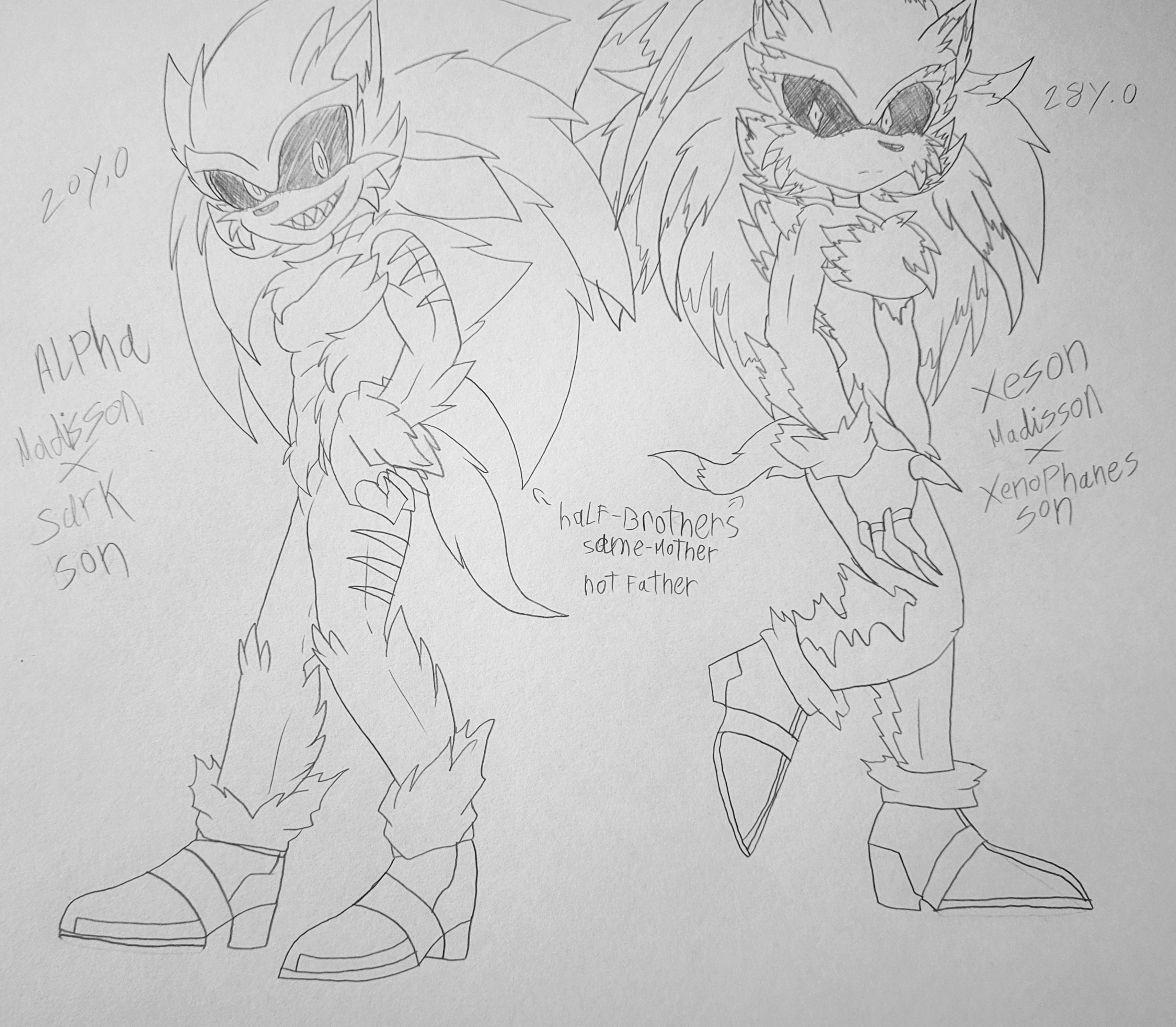 hyper demon silver the hedgehog, Shadow and silver and sonic - sonic-and-the-hedgehog-brothers  Photo