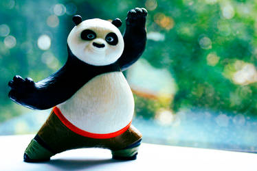 The Kung-Fu Panda