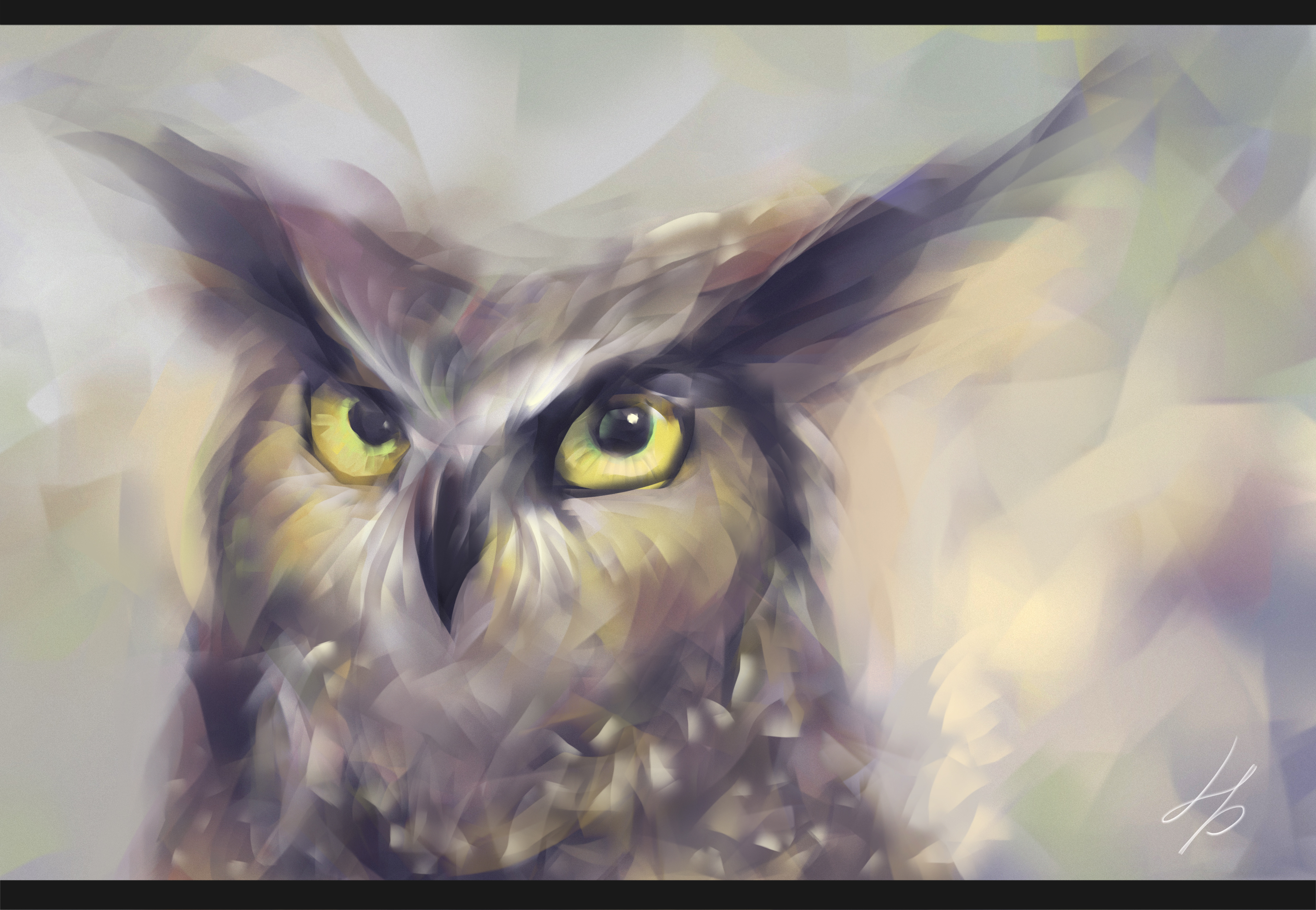 owl 01