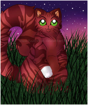 SQUIRRELFLIGHT II