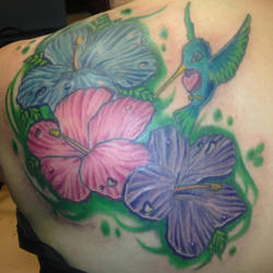 Hibiscus Coverup