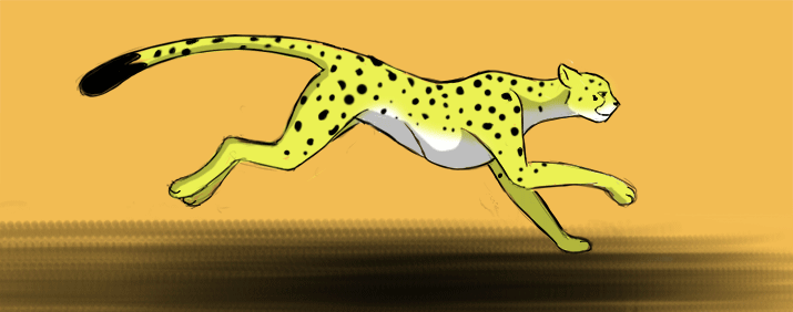 cheetah-run by K-Lao on DeviantArt