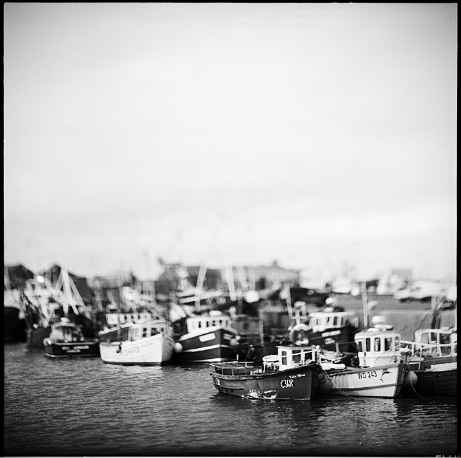 harbor