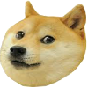 Doge Icon (FREE TO USE)