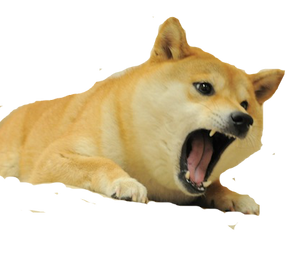 Angry Doge Render