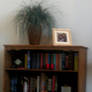 The hidden bookshelf