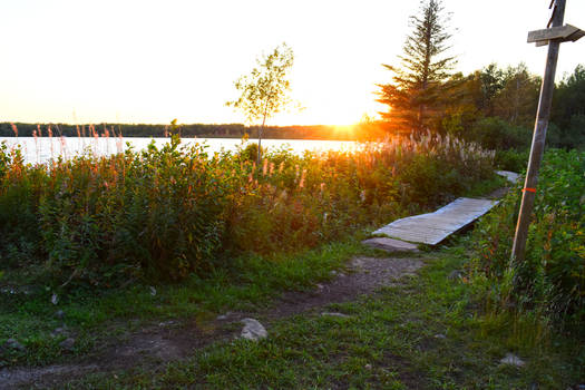 Little Corduroy Pond Lane