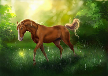 horse in forest light