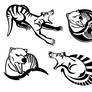 Thylacine Graphics