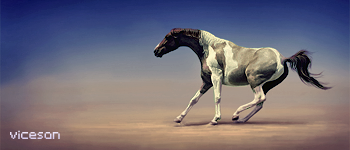 Horse in SANDS