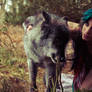 'Wolf Story - Girl living with her pack' series