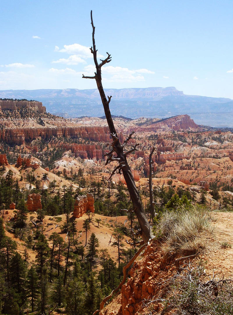 Bryce Canyon National Park 003