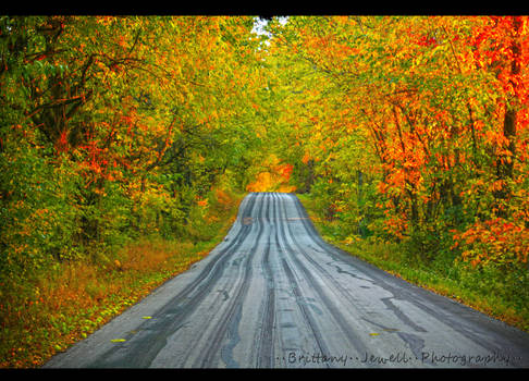 Cherry Tree Lane