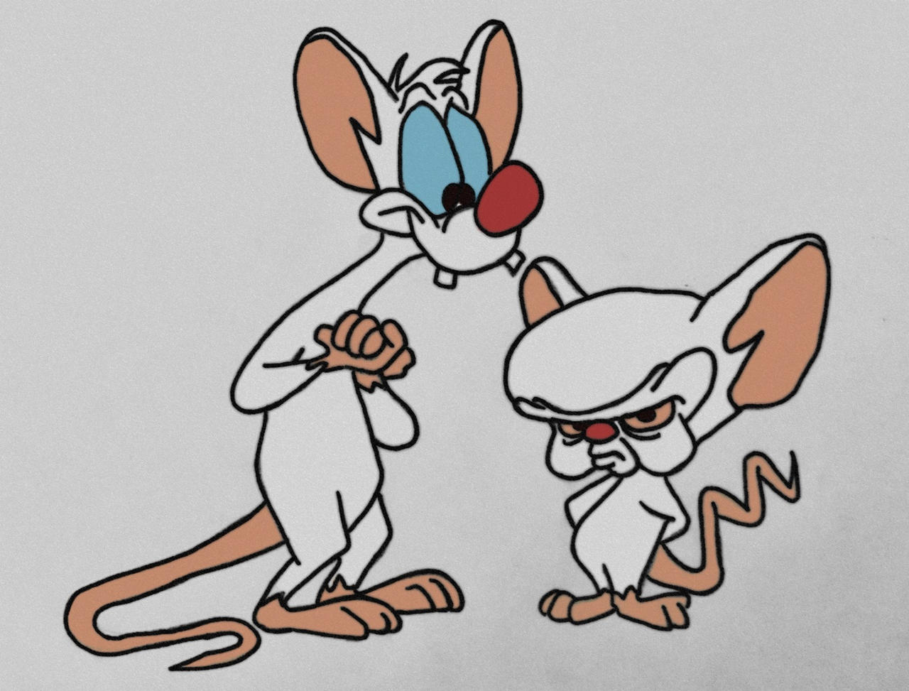 Pinky And The Brain by LoonyToony1985 on DeviantArt