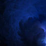 Free Use Background: Nebula #23