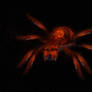 Free Use Background: Spider Nebula