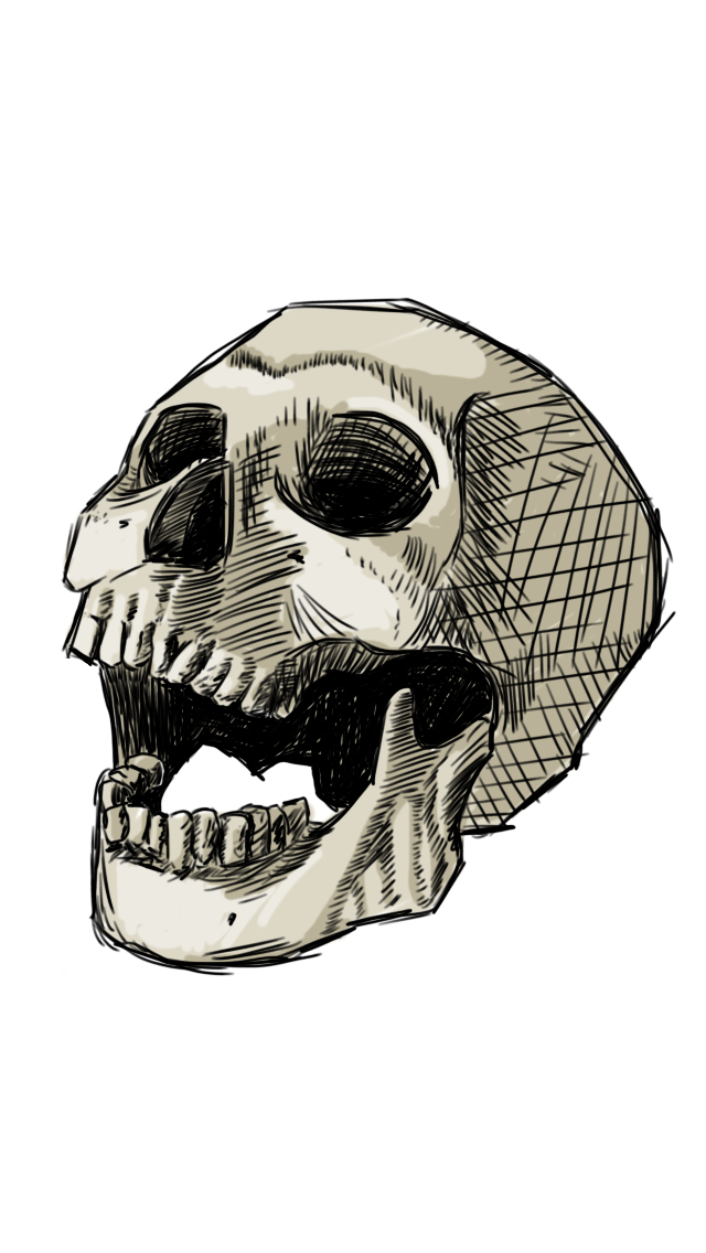 Skull Sketch