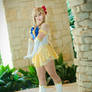 Sailor Venus Pose