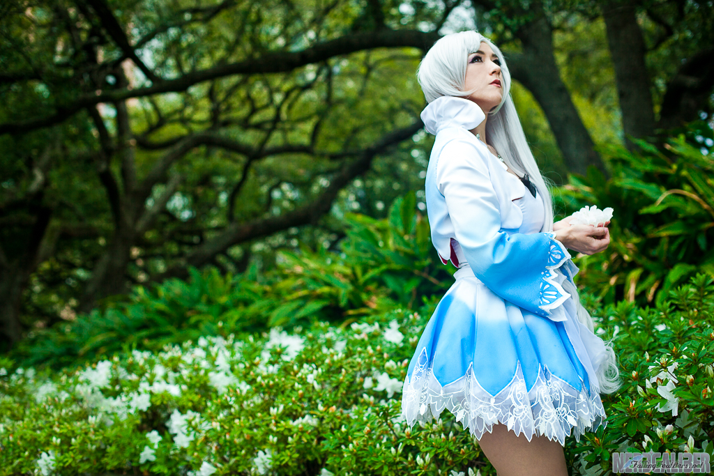 Weiss Schnee Horizons by HollyGloha