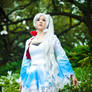 Weiss Schnee Falling Petals