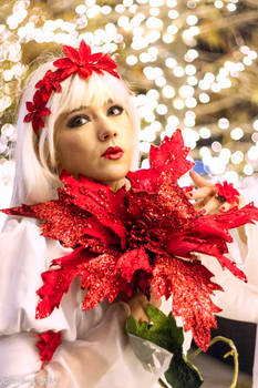 Kirakishou White Rose Red Poinsettia