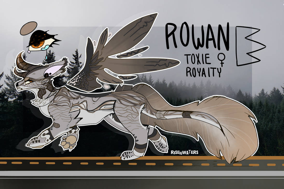 rowan by risenwaters on DeviantArt