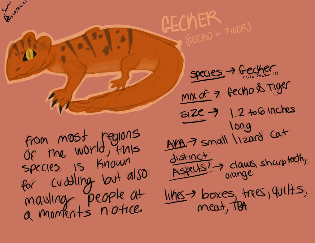 Gecker Gecker | Loyal Rivers, character sheet by HelloImaDemon on DeviantArt