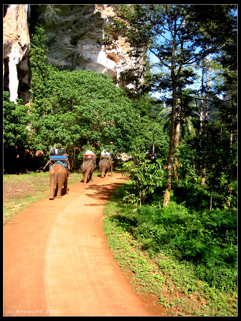 elephent trail