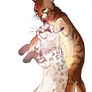 Meow