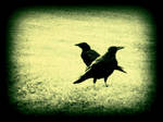 Crossed Ravens by surrealistic-gloom