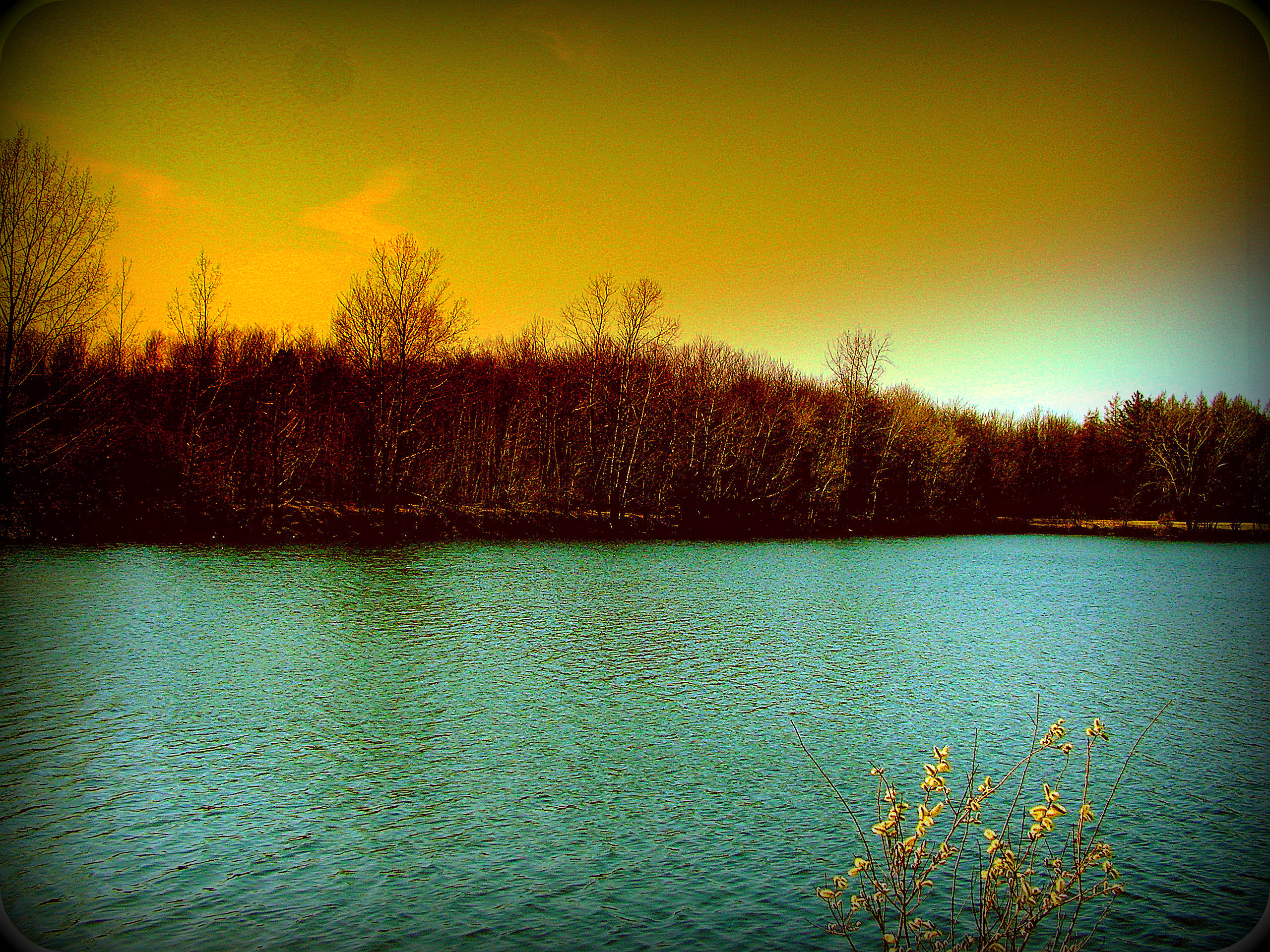 Gloomy Lake in Spring