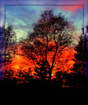 Sky on Fire in Fall by surrealistic-gloom