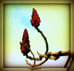 Spring Tree Buds by surrealistic-gloom