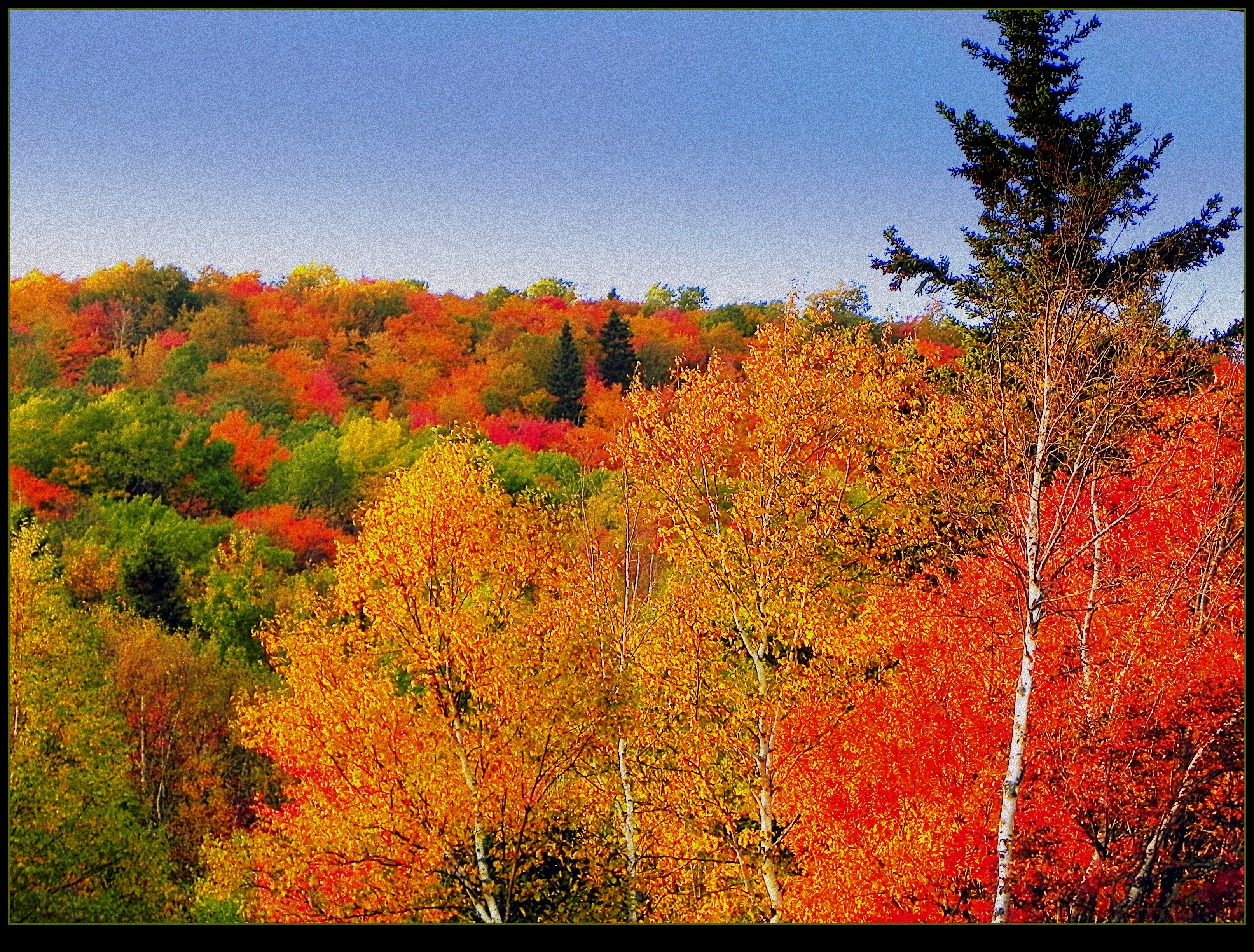 Explosion Of Colours