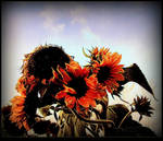 Sunflowers Decaying by surrealistic-gloom