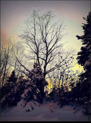 Dusk in Winter by surrealistic-gloom