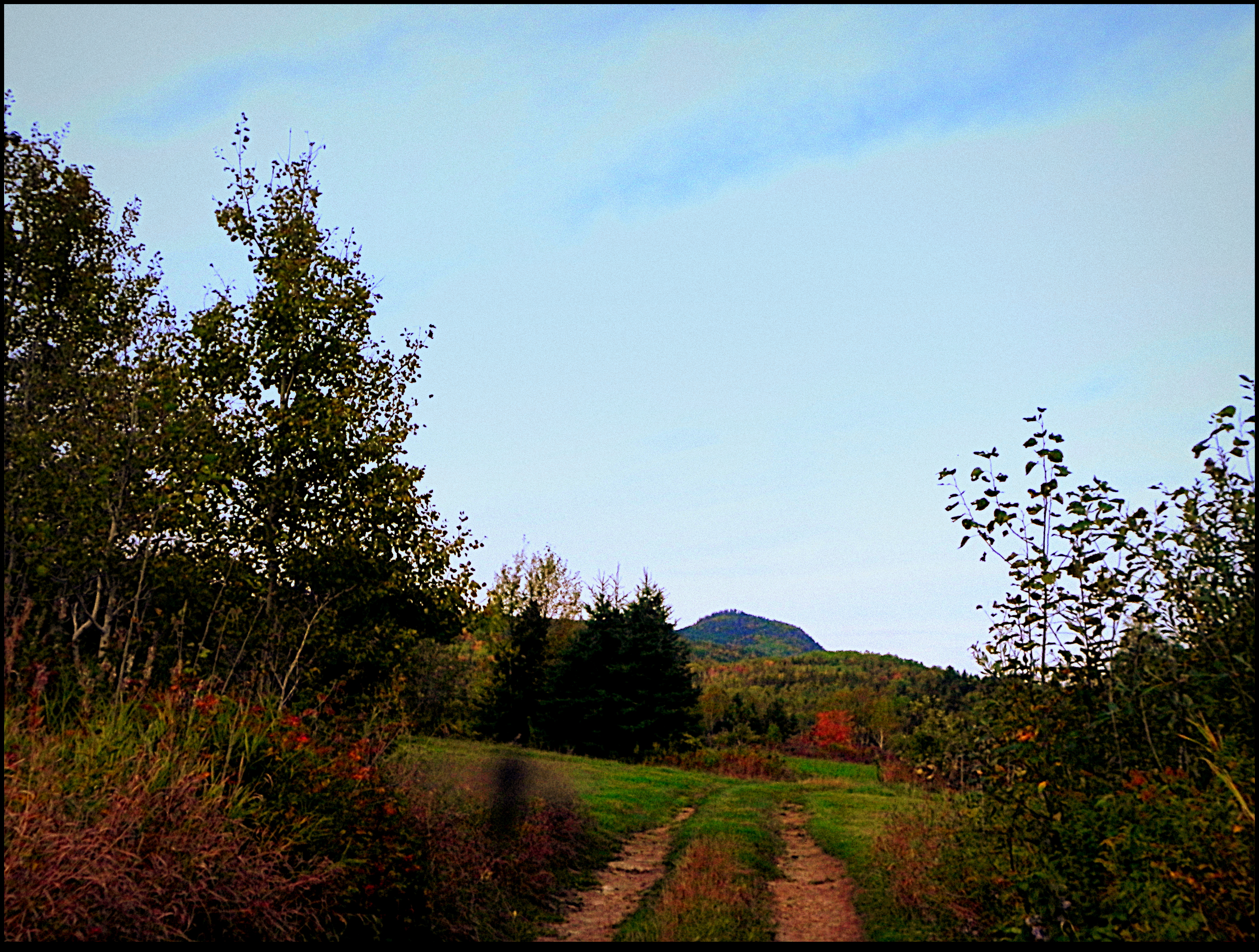 Autumn in Countryside