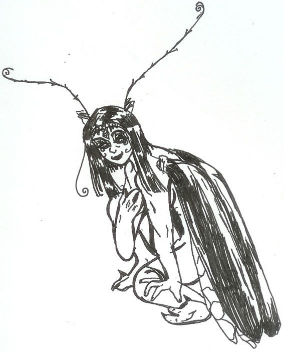 Lady Beetle Wings by DeadGullet on DeviantArt