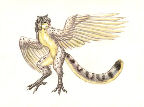 Snow Leopard Harpy