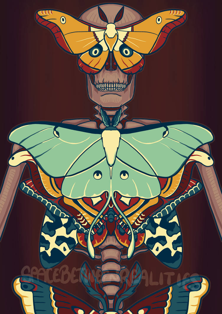 Moth Skelleton Moth Skeleton by Deva-rays on DeviantArt