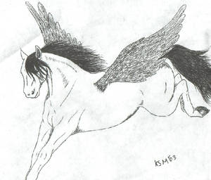 Pegasus