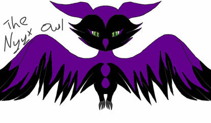 The Nyyx Owl: The legend of darkness