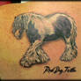 Horse tattoo