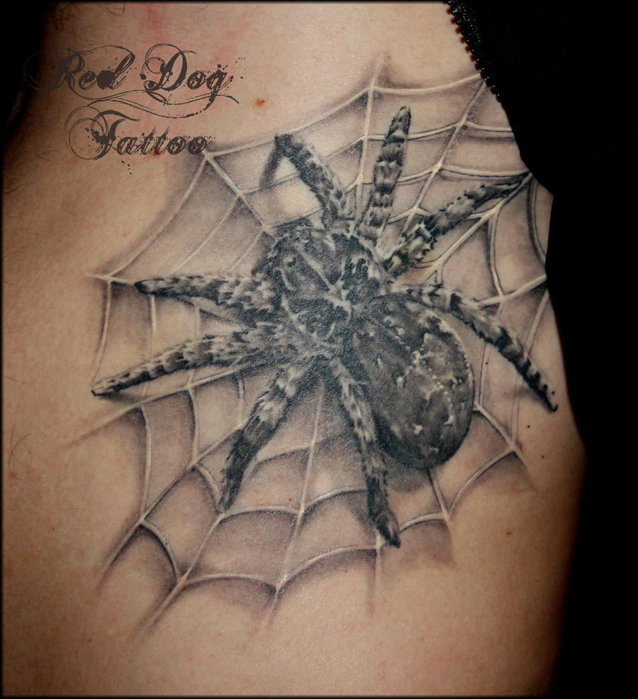 3D Spider Tattoo Healed by Reddogtattoo on DeviantArt