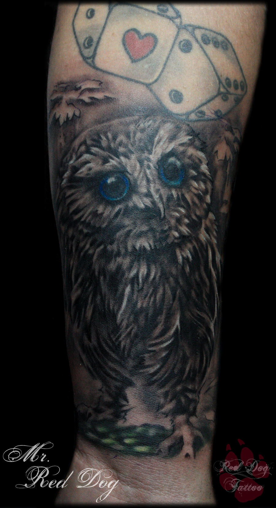 Baby Owl Tattoo by Reddogtattoo on DeviantArt